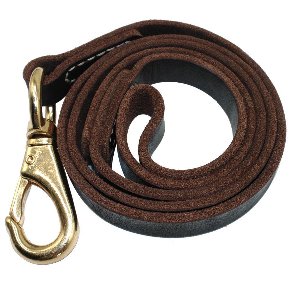 Laisse En Cuir Pour Chien - SmartHarnais™