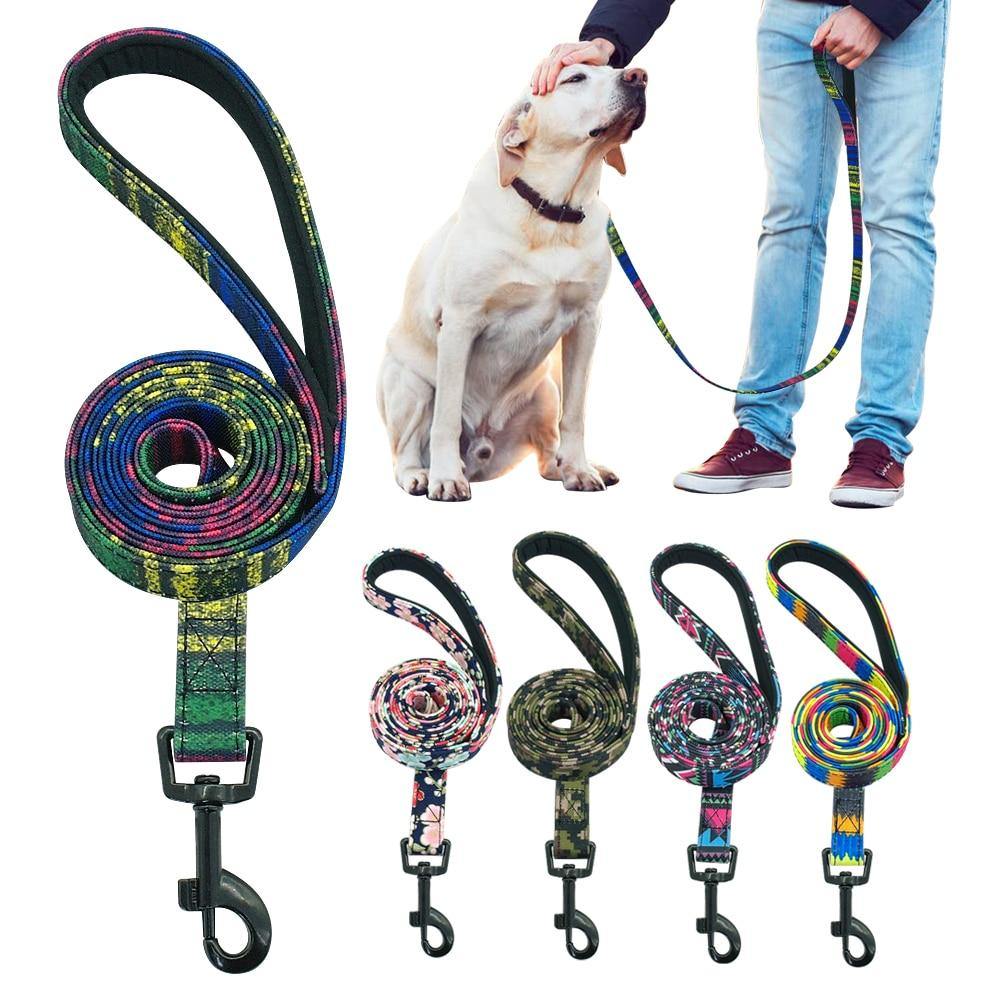 Laisse Chien En Nylon 120 cm - SmartHarnais™