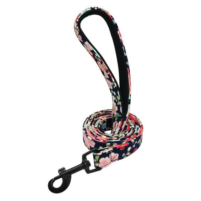 Laisse Chien En Nylon 120 cm - SmartHarnais™