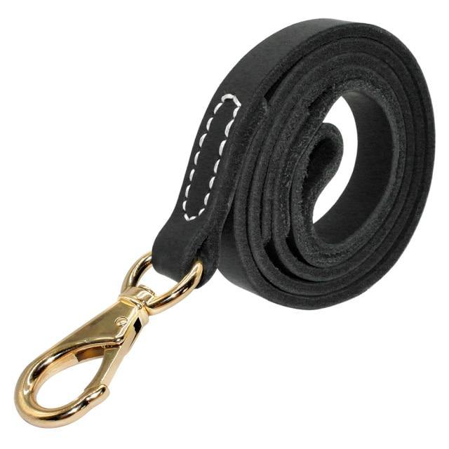 Laisse En Cuir Pour Chien - SmartHarnais™